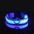 Keep Your Furry Friend Safe with GlowPup LED Dog Collars | Hamarinn