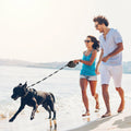 Unleash the Adventure - Your Dog's Ultimate Freedom with the Hamarinn Retractable Dog Leash!